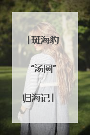 斑海豹“汤圆”归海记