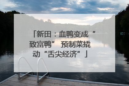 新田：血鸭变成“致富鸭” 预制菜撬动“舌尖经济”