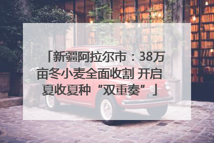 新疆阿拉尔市：38万亩冬小麦全面收割 开启夏收夏种“双重奏”
