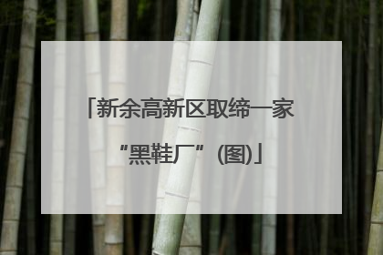 新余高新区取缔一家“黑鞋厂”(图)