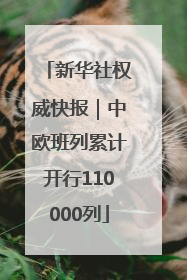新华社权威快报｜中欧班列累计开行110000列