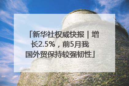 新华社权威快报｜增长2.5%，前5月我国外贸保持较强韧性