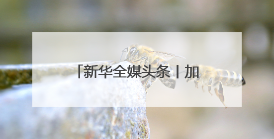 新华全媒头条丨加快赋能千行百业 持续优化产业生态——浙江推动人工智能健康有序发展观察