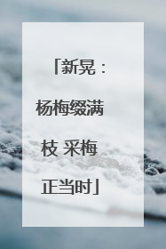 新晃：杨梅缀满枝 采梅正当时