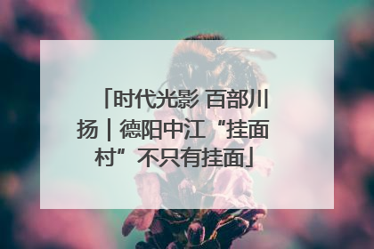 时代光影 百部川扬｜德阳中江“挂面村”不只有挂面