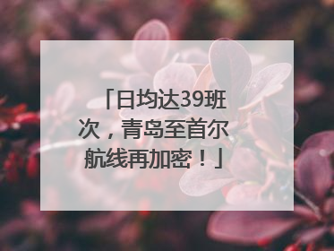 日均达39班次，青岛至首尔航线再加密！