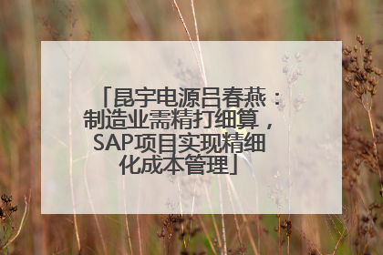 昆宇电源吕春燕：制造业需精打细算，SAP项目实现精细化成本管理