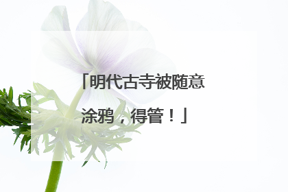 明代古寺被随意涂鸦，得管！