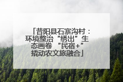 昔阳县石寨沟村：环境整治“绣出”生态画卷 “民宿+”撬动农文旅融合
