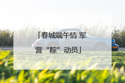 春城端午情 军营“粽”动员
