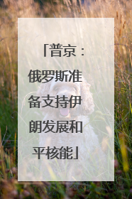 普京：俄罗斯准备支持伊朗发展和平核能