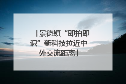 景德镇“即拍即识”新科技拉近中外交流距离