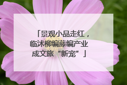 景观小品走红，临沭柳编藤编产业成文旅“新宠”