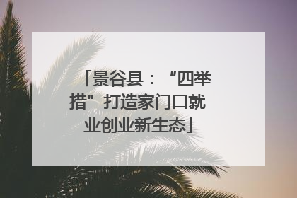 景谷县：“四举措”打造家门口就业创业新生态