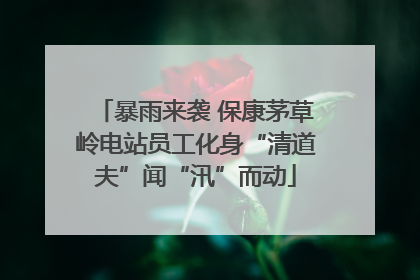暴雨来袭 保康茅草岭电站员工化身“清道夫”闻“汛”而动