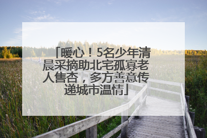 暖心！5名少年清晨采摘助北宅孤寡老人售杏，多方善意传递城市温情