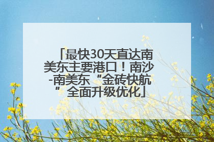 最快30天直达南美东主要港口！南沙-南美东“金砖快航”全面升级优化