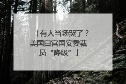 有人当场哭了？美国白宫国安委裁员“降级”