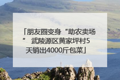 朋友圈变身“助农卖场” 武陵源区黄家坪村5天销出4000斤包菜