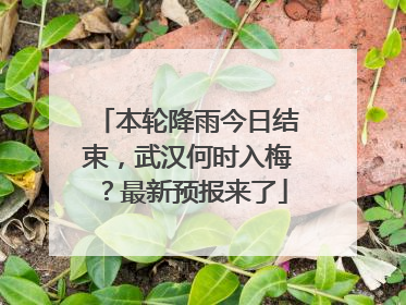 本轮降雨今日结束，武汉何时入梅？最新预报来了