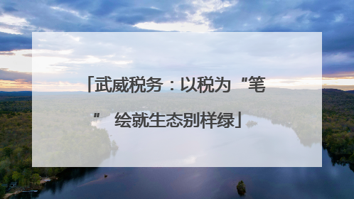 武威税务：以税为“笔” 绘就生态别样绿