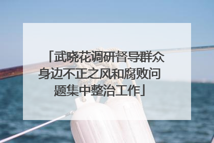 武晓花调研督导群众身边不正之风和腐败问题集中整治工作