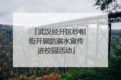 武汉经开区纱帽街开展防溺水宣传进校园活动