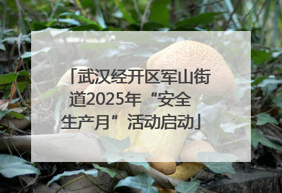 武汉经开区军山街道2025年“安全生产月”活动启动