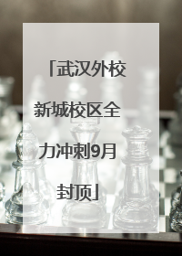 武汉外校新城校区全力冲刺9月封顶