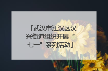 武汉市江汉区汉兴街道组织开展“七一”系列活动