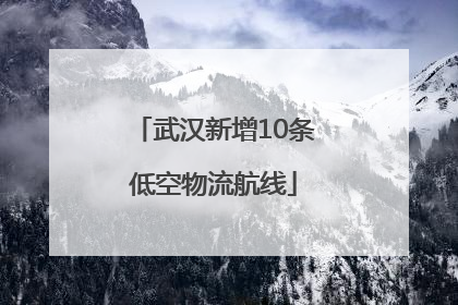 武汉新增10条低空物流航线