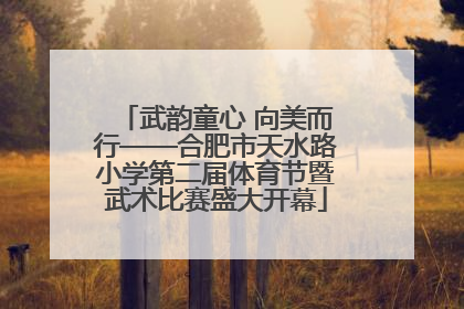 武韵童心 向美而行——合肥市天水路小学第二届体育节暨武术比赛盛大开幕