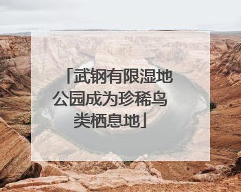 武钢有限湿地公园成为珍稀鸟类栖息地