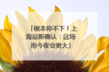 根本停不下！上海最新确认：这场雨今夜会更大