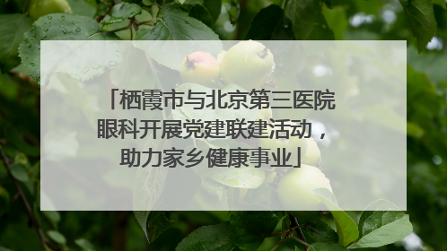 栖霞市与北京第三医院眼科开展党建联建活动，助力家乡健康事业