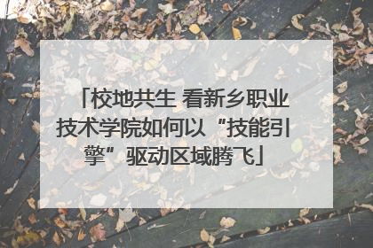校地共生 看新乡职业技术学院如何以“技能引擎”驱动区域腾飞