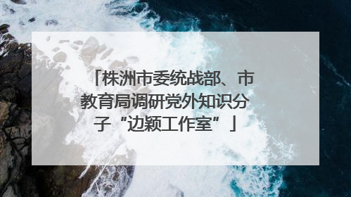 株洲市委统战部、市教育局调研党外知识分子“边颖工作室”