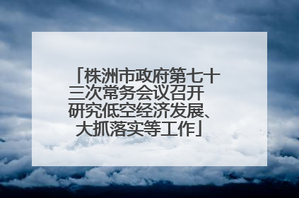 株洲市政府第七十三次常务会议召开 研究低空经济发展、大抓落实等工作