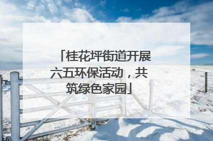 桂花坪街道开展六五环保活动，共筑绿色家园