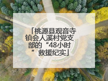 桃源县观音寺镇会人溪村党支部的“48小时”救援纪实