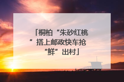 桐柏“朱砂红桃”搭上邮政快车抢“鲜”出村