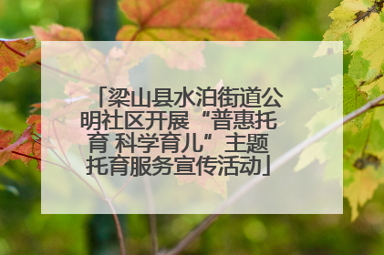 梁山县水泊街道公明社区开展“普惠托育 科学育儿”主题托育服务宣传活动