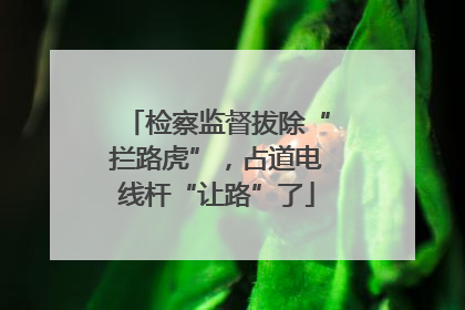 检察监督拔除“拦路虎”，占道电线杆“让路”了