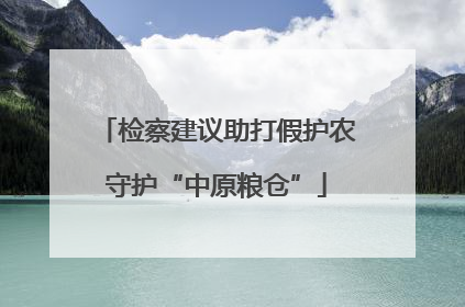 检察建议助打假护农守护“中原粮仓”