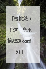 樱桃熟了！这三条采摘线路收藏好
