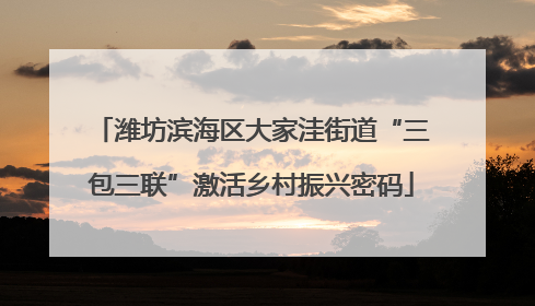 潍坊滨海区大家洼街道“三包三联”激活乡村振兴密码
