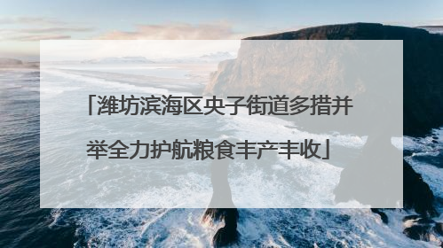 潍坊滨海区央子街道多措并举全力护航粮食丰产丰收
