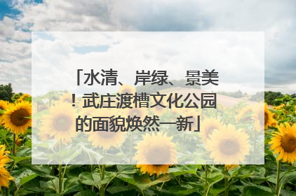水清、岸绿、景美！武庄渡槽文化公园的面貌焕然一新