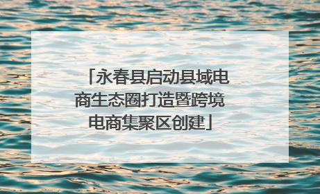 永春县启动县域电商生态圈打造暨跨境电商集聚区创建
