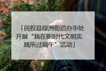 民权县绿洲街道办事处开展“我在新时代文明实践所过端午”活动